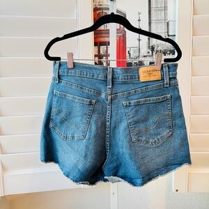 Levi's. Size 30. Women's Classic Blue Jean Shorts